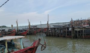 IMG-20250924-WA0045