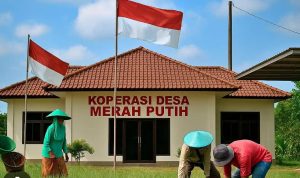 Gambar WhatsApp 2025-10-03 pukul 09.24.49_b543a73d