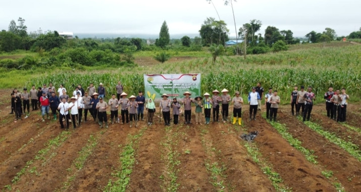 Polres Melawi Bersama Polsek Jajaran Dukung Asta Cita Presiden Prabowo, Serentak Menanam Jagung
