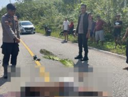 Kecelakaan Lalu Lintas di Jalan Lintas Utara Kapuas Hulu Satu Pengendara Meninggal Dunia