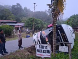 Kecelakaan Bus Robot Betania di Jalan Lintas Selatan Seberuang Seluruh Penumpang Selamat