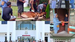 Membumikan Sisi Humanis Adhyaksa, Kejari Belitung Timur Salurkan Daging Kurban Untuk Masyarakat Beltim