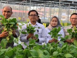 Greenhouse SPPG Palmerah Panen Sawi dan Patin, Polda Metro Jaya Perkuat Rantai Pangan Bergizi untuk 2.529 Penerima Manfaat