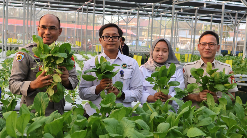 Greenhouse SPPG Palmerah Panen Sawi dan Patin, Polda Metro Jaya Perkuat Rantai Pangan Bergizi untuk 2.529 Penerima Manfaat
