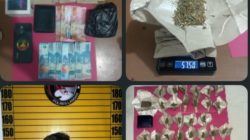 Pengedar Ganja Di Kota Ngabang di Tangkap Polisi