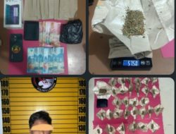 Pengedar Ganja Di Kota Ngabang di Tangkap Polisi
