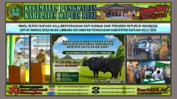 Wakil Bupati Kapuas Hulu Sukardi Serahkan Bantuan Sapi Kurban Presiden RI di Masjid Al-Mukarramah Pengkadan