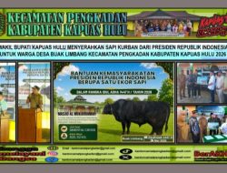 Wakil Bupati Kapuas Hulu Sukardi Serahkan Bantuan Sapi Kurban Presiden RI di Masjid Al-Mukarramah Pengkadan