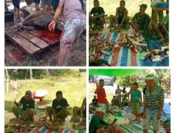 Momentum Hari Raya Idul Adha 1447 H Desa Sungai Sampuk Sembelih 10 ekor Sapi