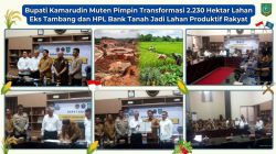 Bupati Kamarudin Muten Pimpin Transformasi 2.230 Hektar Lahan Eks Tambang dan HPL Bank Tanah Jadi Lahan Produktif Rakyat