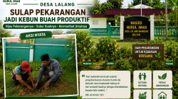 Masjid Nurul Iman Desa Lalang Sulap Pekarangan Masjid Jadi Kebun Buah Produktif