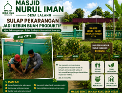 Masjid Nurul Iman Desa Lalang Sulap Pekarangan Masjid Jadi Kebun Buah Produktif