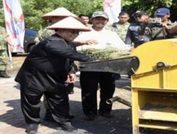 Panen Raya Serentak, Kubu Raya Dukung Swasembada Pangan Nasional