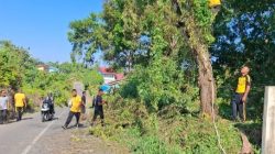 Kapolsek Nanga Pinoh Bersama Anggota dan Warga Bersihkan Pohon