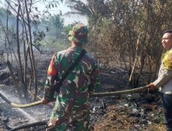 Sinergi Polri, TNI, BPBD dan Masyarakat, Personel Polsek Muara Pawan Berjibaku Padamkan Karhutla di Desa Tempurukan