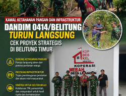 Kawal Ketahanan Pangan dan Infrastruktur, Dandim 0414/Belitung Turun Langsung Cek Proyek Strategis di Belitung Timur
