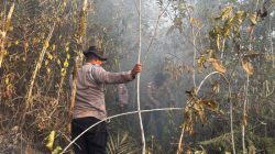 PENANGANAN KARHUTLA HARI KEENAM, BRIMOB KEMBALI TURUN DI BIAK