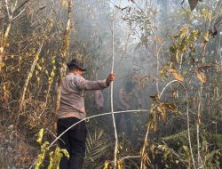 PENANGANAN KARHUTLA HARI KEENAM, BRIMOB KEMBALI TURUN DI BIAK