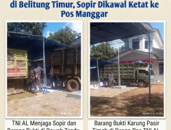 TNI AL Amankan 7 Truk Pasir Timah Ilegal di Belitung Timur, Sopir Dikawal Ketat ke Pos Manggar