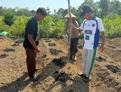 Polsek Ella Hilir Bersama Pemdes Popay Menanam Jagung
