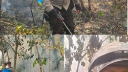 GPM Semarak HUT Kemerdekaan RI Ke-81, Polsek Bunut Hilir Dukung Stabilitas Harga Pangan Masyarakat   