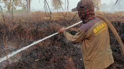 Tim Gabungan Masih Berjibaku Padamkan Karhutla di Tengah HUT ke-81 RI