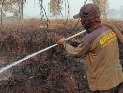 Tim Gabungan Masih Berjibaku Padamkan Karhutla di Tengah HUT ke-81 RI