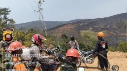 Sinergi TNI-Polri, Polsek dan Koramil Menukung Cek Titik Api serta Lakukan Pemadaman Karhutla