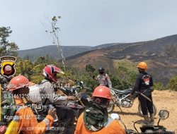 Sinergi TNI-Polri, Polsek dan Koramil Menukung Cek Titik Api serta Lakukan Pemadaman Karhutla