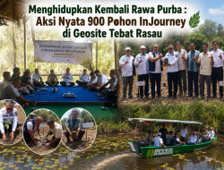 Menghidupkan Kembali Rawa Purba : Aksi Nyata 900 Pohon InJourney di Geosite Tebat Rasau