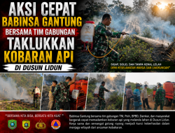 Aksi Cepat Babinsa Gantung Bersama Tim Gabungan Taklukkan Kobaran Api di Dusun Lidun