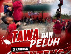 Tawa dan Peluh di Kandang Banteng: Mengintip Keseruan Lomba Agustusan DPC PDI Perjuangan Belitung Timur