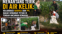 Menantang Terik di Aik Kelik : Kolaborasi Babinsa dan PPL Bakar Semangat Petani di Tengah Ancaman Kemarau