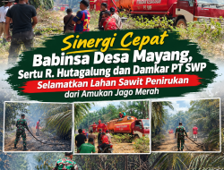 Sinergi Cepat Babinsa Desa Mayang, Sertu R. Hutagalung dan Damkar PT SWP Selamatkan Lahan Sawit Penirukan dari Amukan Jago Merah