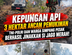 Kepungan Api 3 Hektar Ancam Pemukiman, TNI-Polri dan Warga Simpang Pesak Berhasil Jinakkan Si Jago Merah!