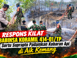 Respons Kilat Babinsa Koramil 414-01/TP Sertu Suprapto Padamkan Kobaran Api di Aik Kemang