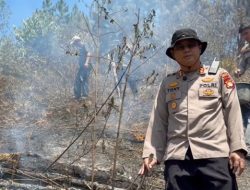 Karhutla Hanguskan 5 Hektare Lahan di Mamasa, Polisi dan Damkar Berjibaku Padamkan Api