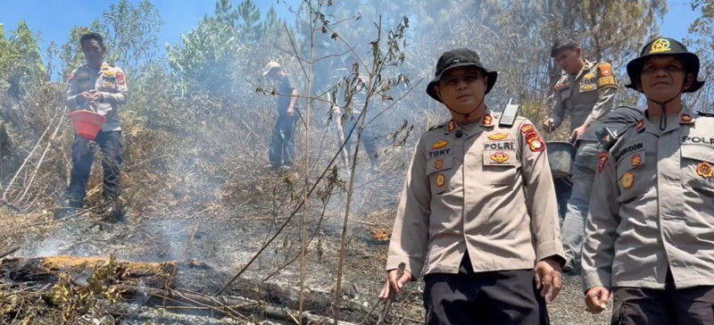 Karhutla Hanguskan 5 Hektare Lahan di Mamasa, Polisi dan Damkar Berjibaku Padamkan Api