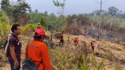 Pencarian Tujuh Hari Nihil, Asan yang Hilang di Kebun Entikong Belum Ditemukan