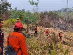 Pencarian Tujuh Hari Nihil, Asan yang Hilang di Kebun Entikong Belum Ditemukan