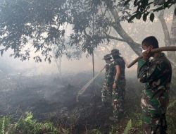Api Mengamuk di Tiga Kelurahan Disingkawang, Babinsa Koramil 03/Skh dan Tim Gabungan Turun Tangan Selamatkan Lahan.