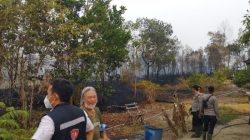 Peleton 2 Siaga Karhutla Bersama Satgas Berhasil Padamkan Kebakaran di Desa Tanjung Lay