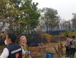 Peleton 2 Siaga Karhutla Bersama Satgas Berhasil Padamkan Kebakaran di Desa Tanjung Lay