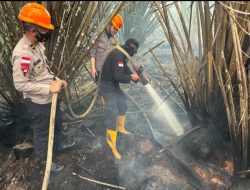 Tim Karhutla Satbrimob Polda Kalbar Lakukan Pendinginan Lahan di Rasau Jaya