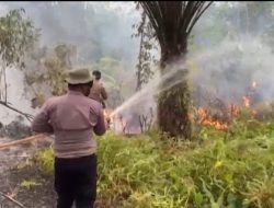 Gerak Cepat Cegah Meluas, Polsek Ella Hilir Ground Check dan Padamkan Titik Api