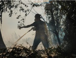Tindak Pelaku Pembakar Lahan Dua Lokasi Karhutla Diperiksa