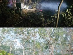 Polsek Ella Hilir Gerak Cepat Tangani Empat Titik Karhutla di Nanga Nyuruh