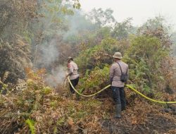 Cegah Api Meluas, Brimob Kalbar Bersama BPBD Padamkan Kebakaran Lahan di Sintang