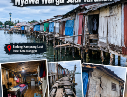 Krisis Hunian di Pusat Kota Manggar: 24 Petak Bedeng Kampong Laut Kritis, Nyawa Warga Jadi Taruhan