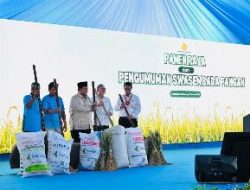Swasembada Beras, Upaya Pemerintah Perkuat Fondasi Ketahanan Pangan Nasional